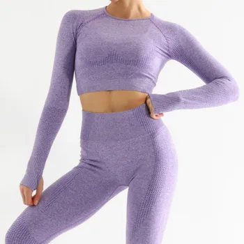 2PCS sem Emenda das Mulheres Conjunto de Yoga Treino Sportswear Ginásio de Roupas de Fitness de Manga Longa Crop Top de Cintura Alta, Calças de Desporto Ternos